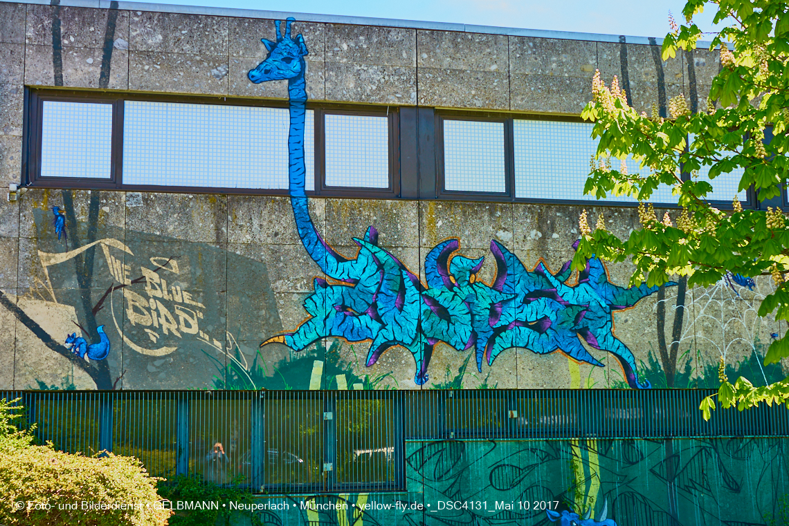 21.03.2017 - Abrissbaustelle Quiddezentrum in Neuperlach